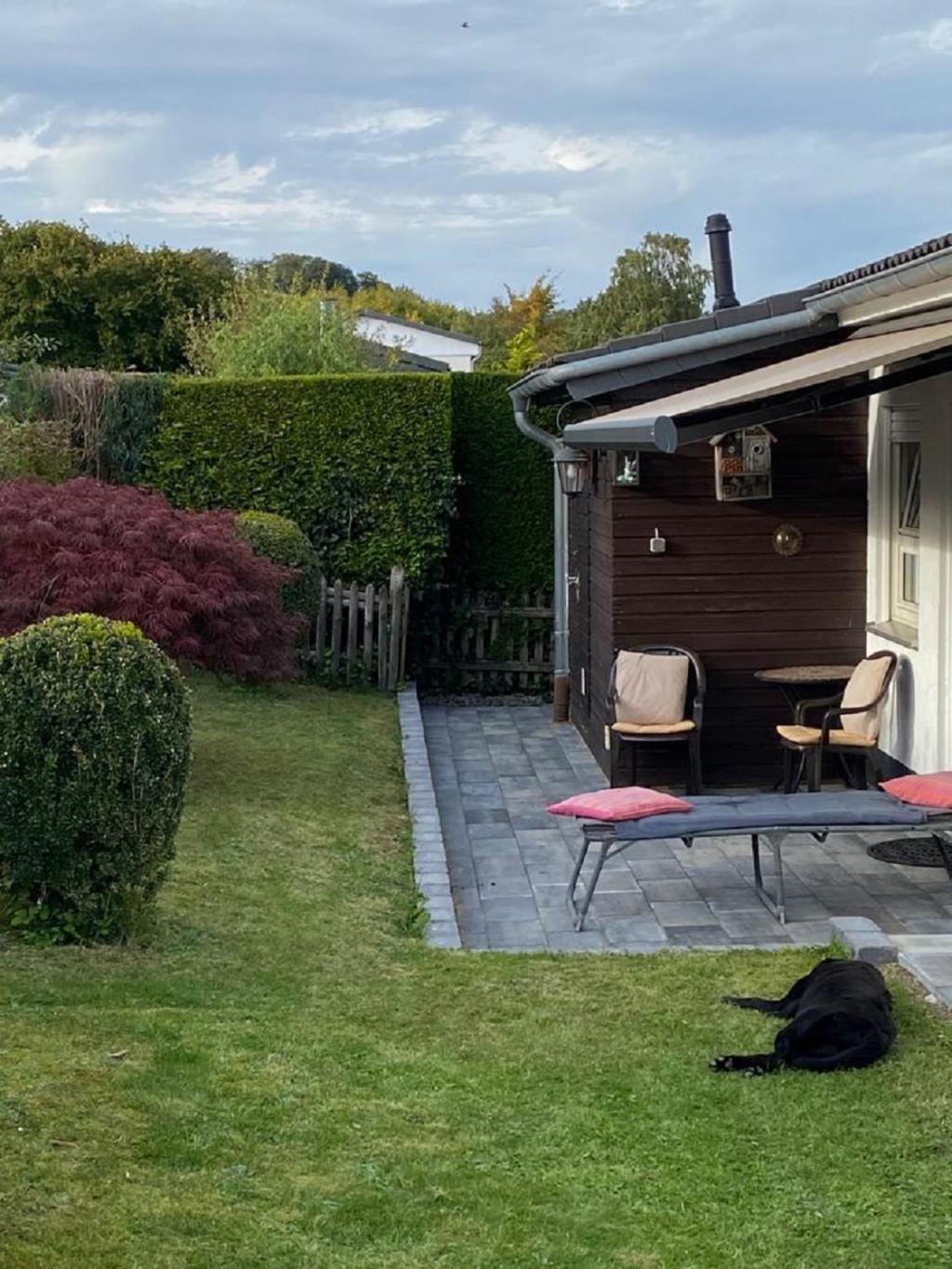 Ferienhaus Glueckspilz Beim Hennesee Мешеде Экстерьер фото